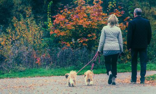 a couple walk two dogs on sidewalk